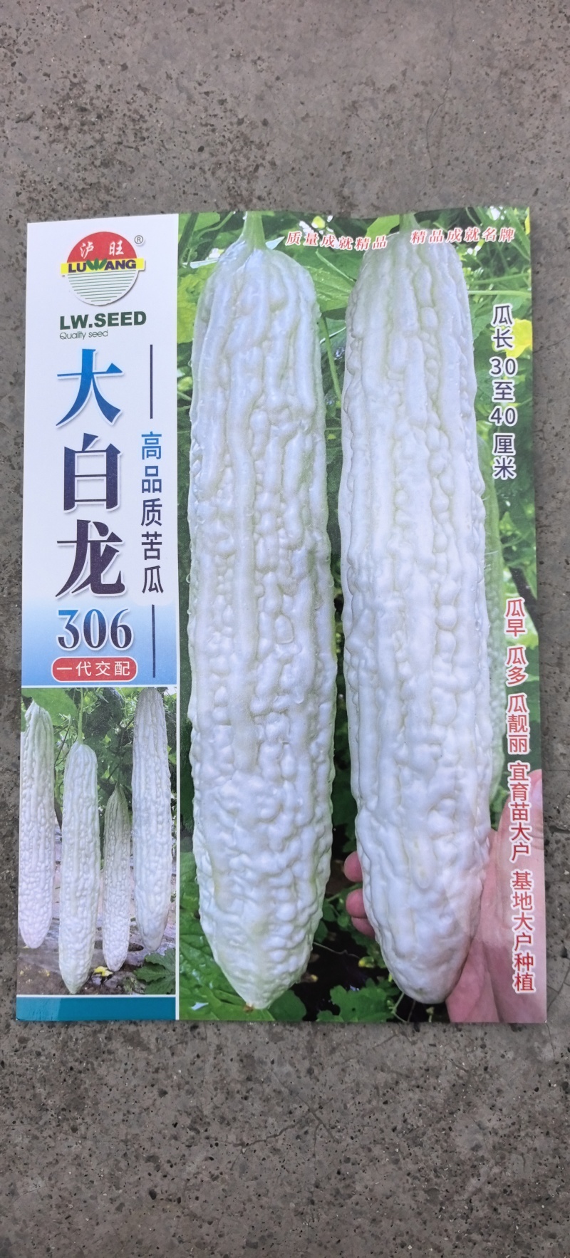 苦瓜种子大白龙306中长大白苦瓜杂交一代品种