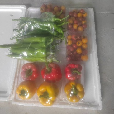 《蔬菜礼盒》精选蔬菜，产地直发，接受企业团购，批发