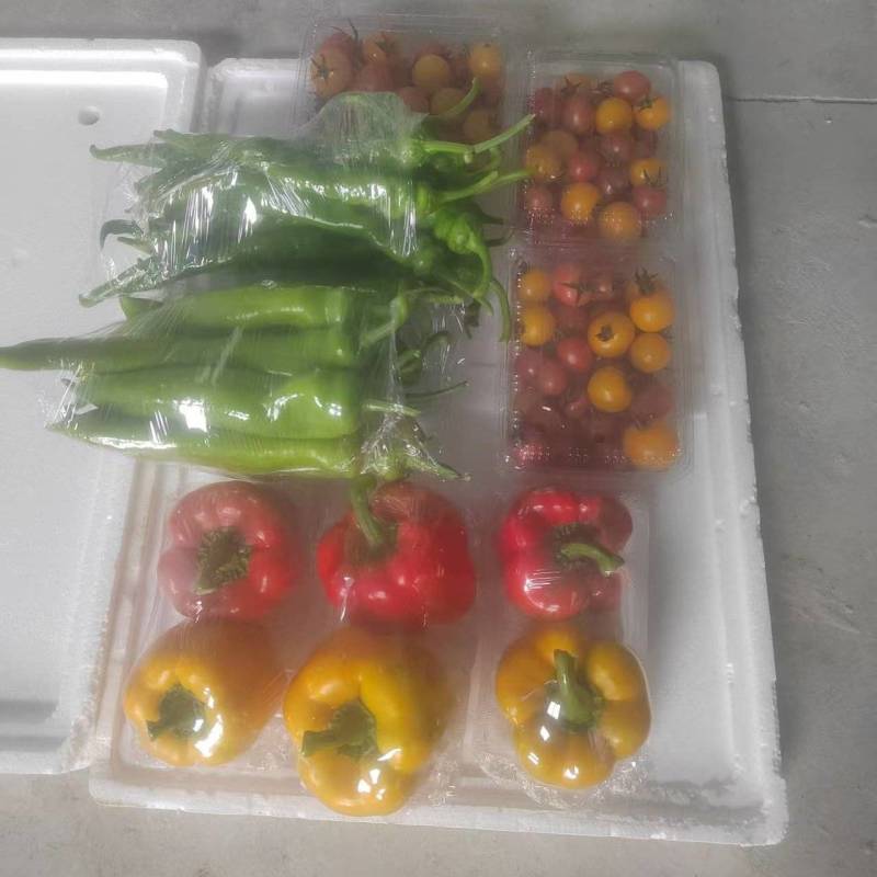 《蔬菜礼盒》精选蔬菜，产地直发，接受企业团购，批发
