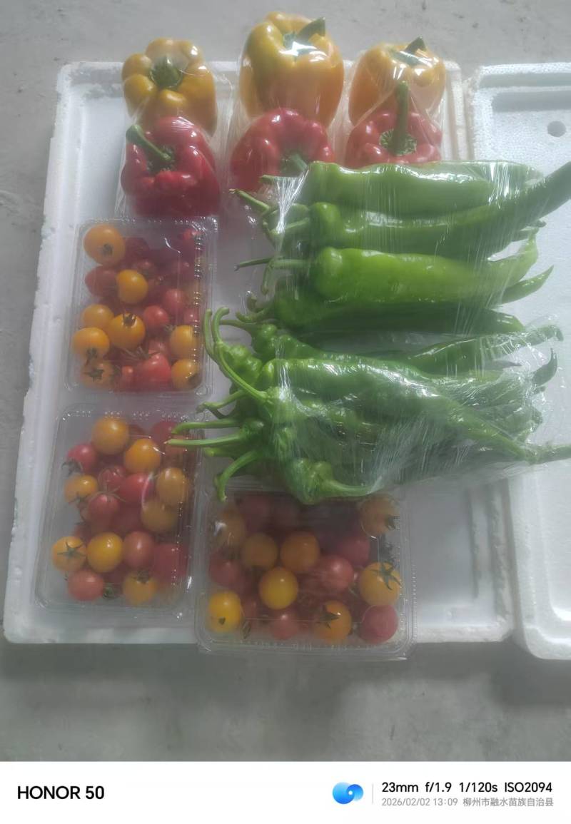 《蔬菜礼盒》精选蔬菜，产地直发，接受企业团购，批发