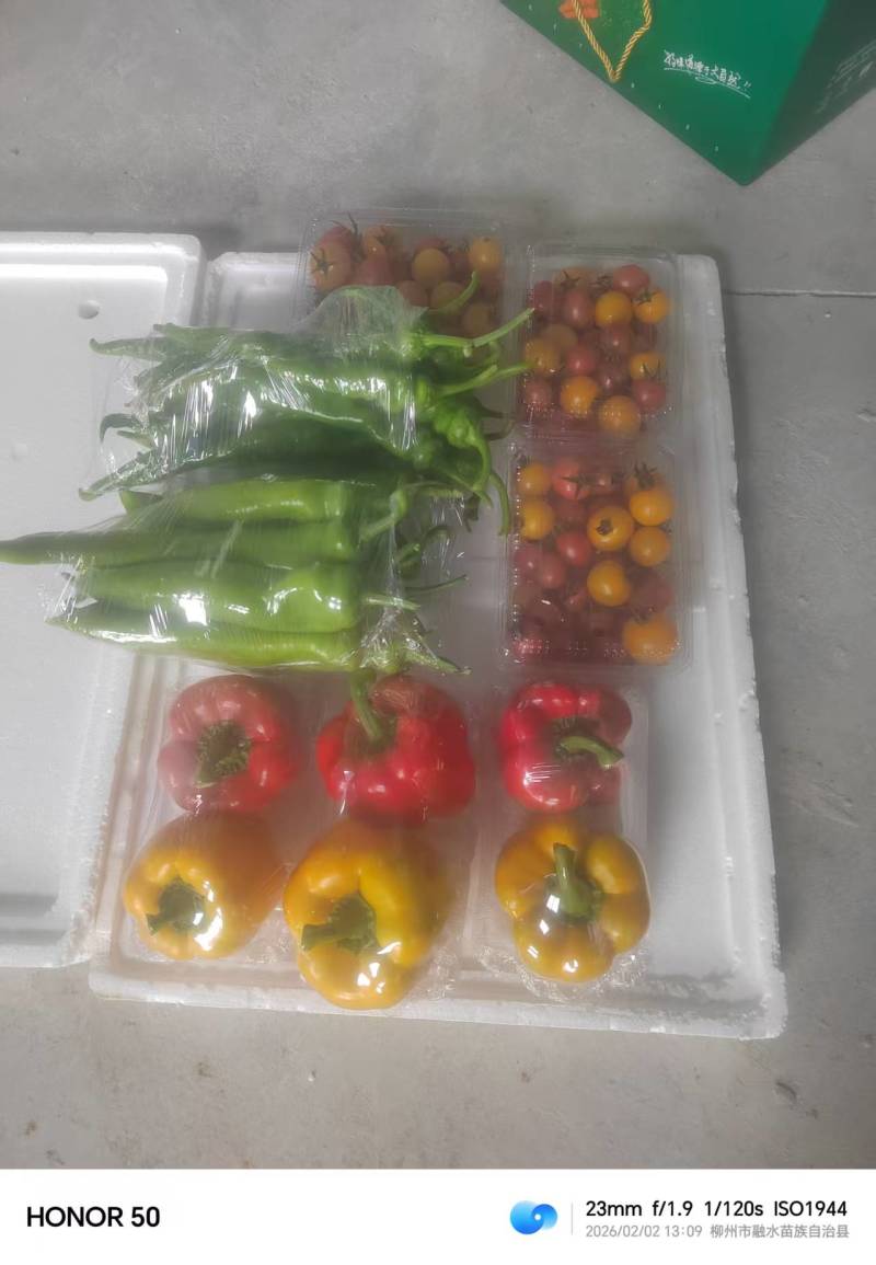 《蔬菜礼盒》精选蔬菜，产地直发，接受企业团购，批发