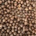 夏威夷果大量现货各平台一件代发