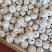 精品甜红子山楂中大果口味香甜产地直发烂果包赔