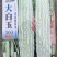 苦瓜种子大白玉306大白苦瓜杂交品种长30-40厘米
