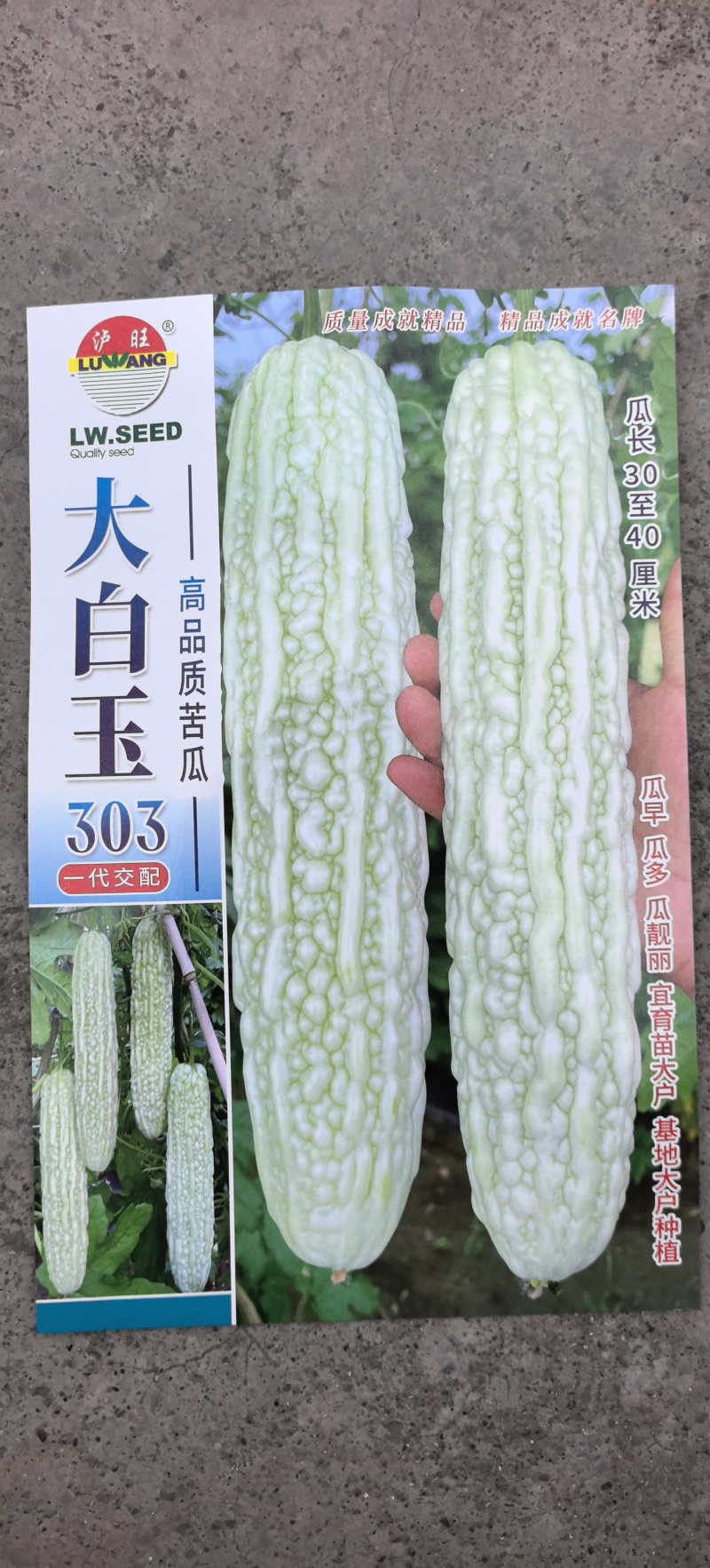 苦瓜种子大白玉306大白苦瓜杂交品种长30-40厘米