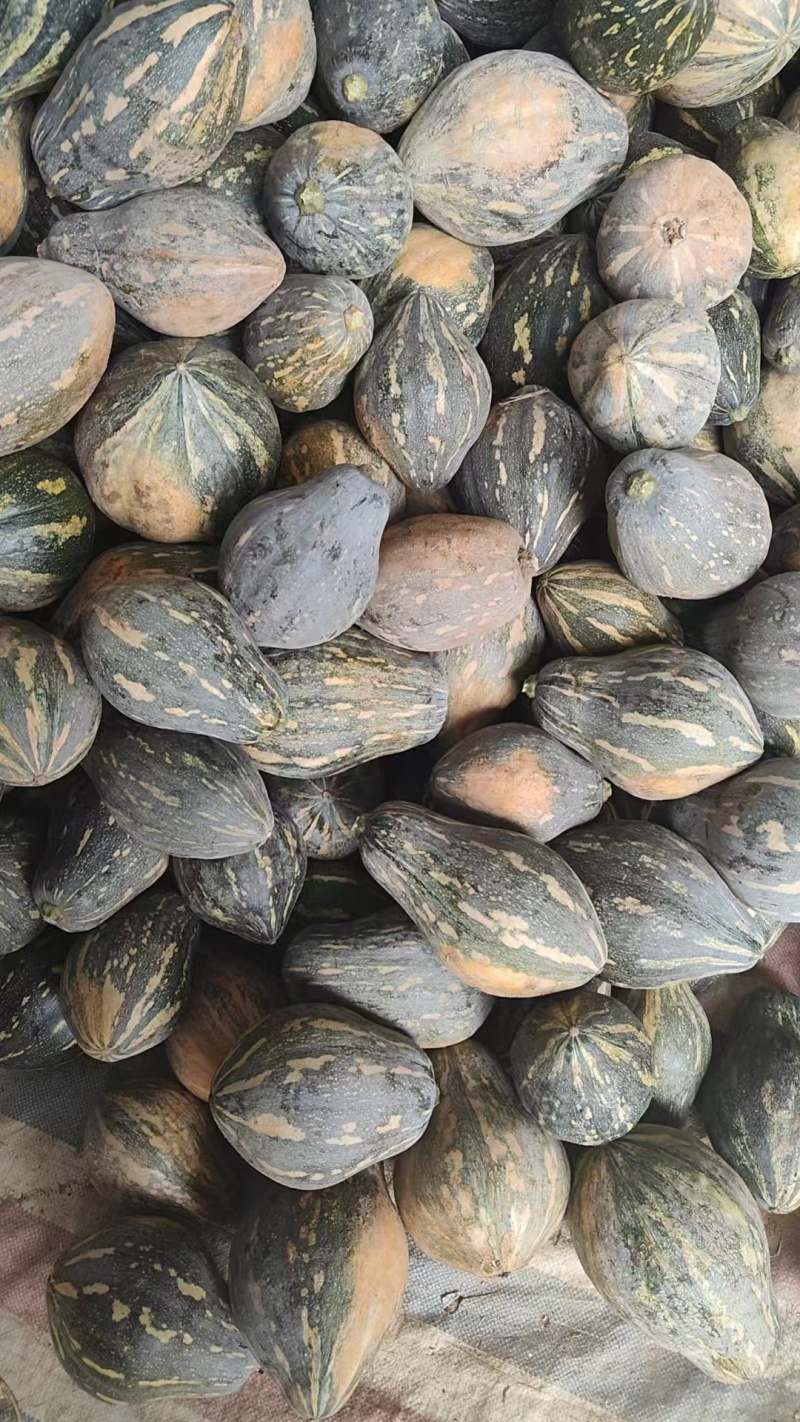 横县香芋南瓜大量上市！物美价廉，欢迎各地老板来采购！！！