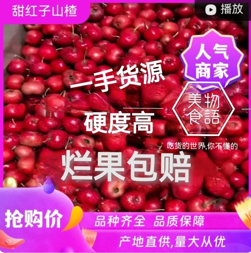 【手挑果大果】山东正宗新泰甜红子山楂保证品质烂果包赔