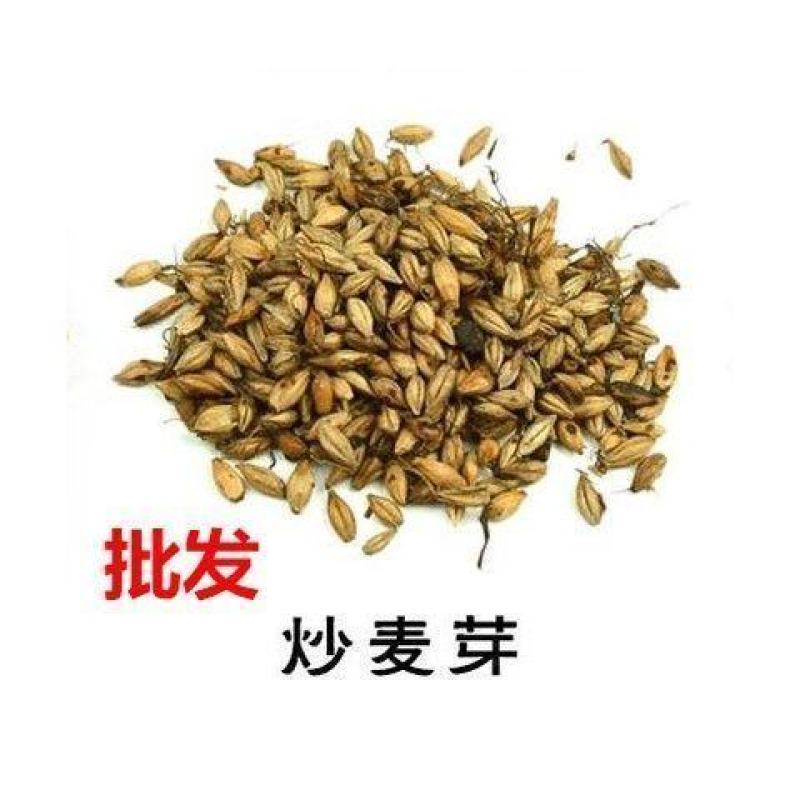 批发中药材生麦芽饱满颗粒无硫大麦芽茶泡水母乳奶炒麦芽