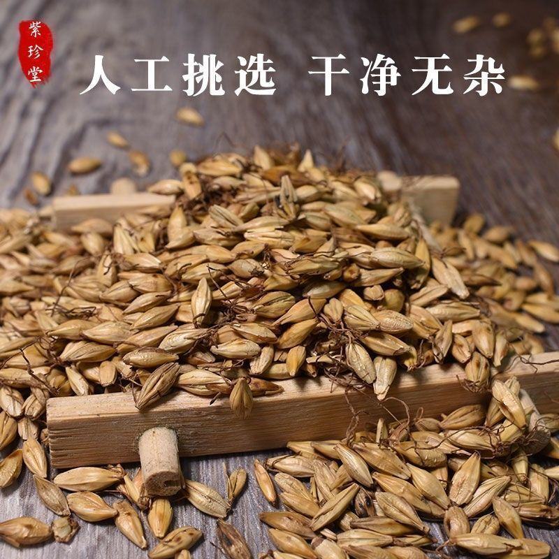 批发中药材生麦芽饱满颗粒无硫大麦芽茶泡水母乳奶炒麦芽