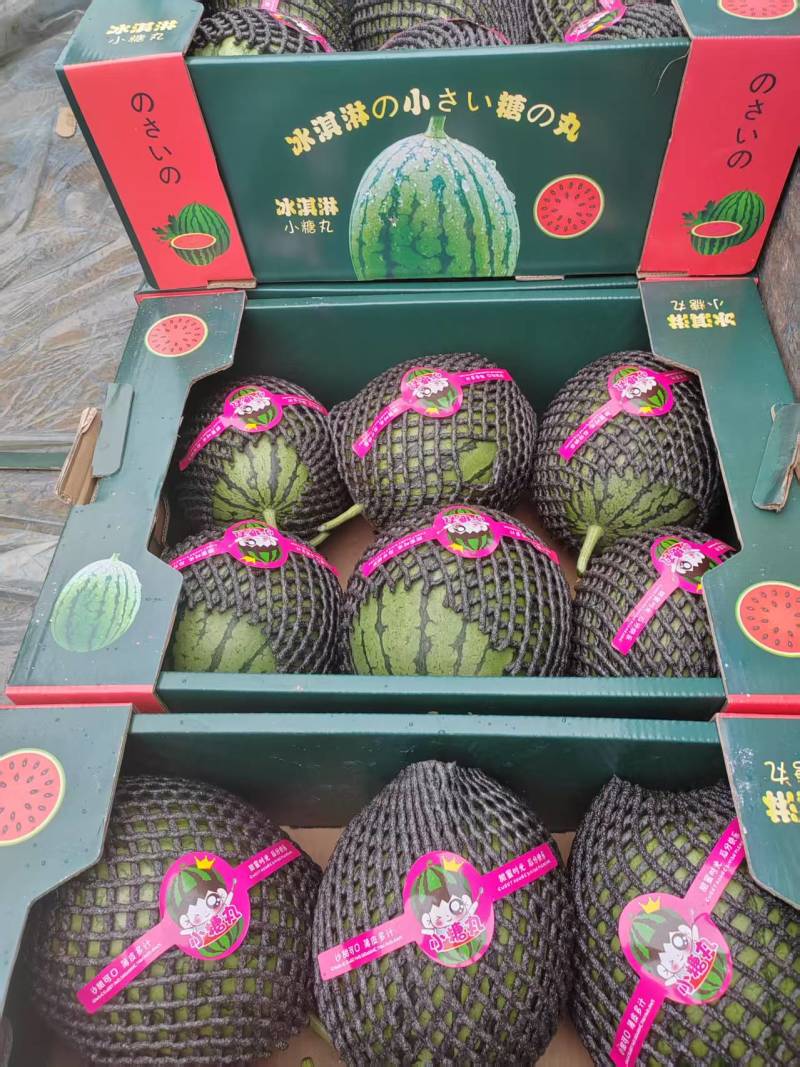 陕西蒲城小糖丸礼品吊瓜已大量上市。本本产地小糖丸吊瓜皮