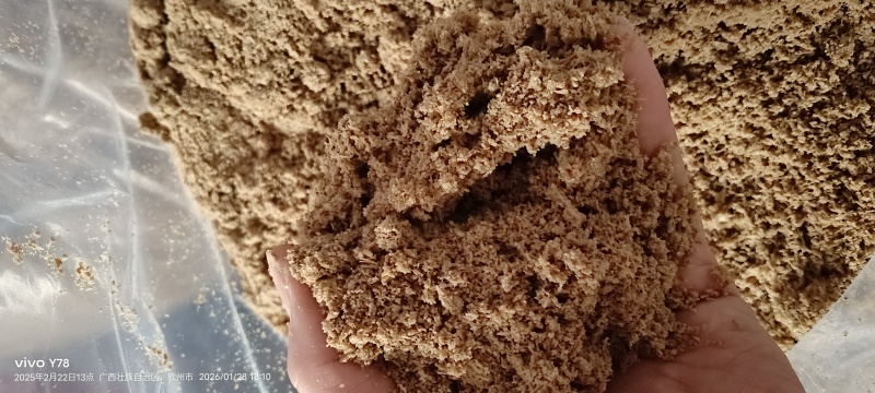 啤酒渣新鲜到货