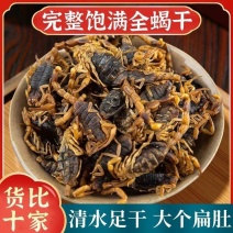 正品全蝎全虫干全蝎干无盐全蝎中药材清水全蝎蝎子干批发零售