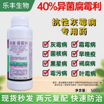 异菌脲腐霉利灰霉病菌核病叶霉病草莓葡萄黄瓜番茄辣椒农药杀