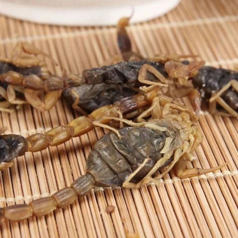 正品全蝎全虫干全蝎干无盐全蝎中药材清水全蝎蝎子干批发零售