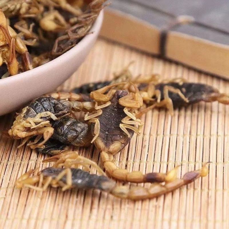 正品全蝎全虫干全蝎干无盐全蝎中药材清水全蝎蝎子干批发零售
