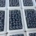 山东L25蓝莓对接商超电商出口保质保量品质规格全
