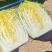 云南白菜一手货源三无白菜无烧心，无起苔无虫害