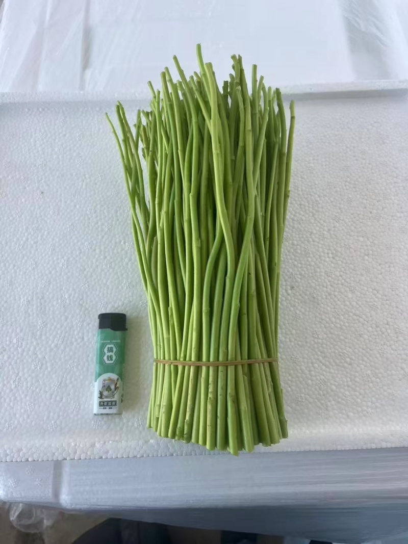 藜蒿