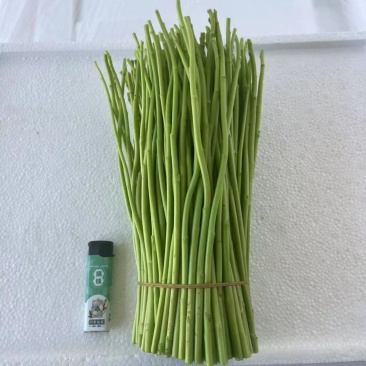 藜蒿