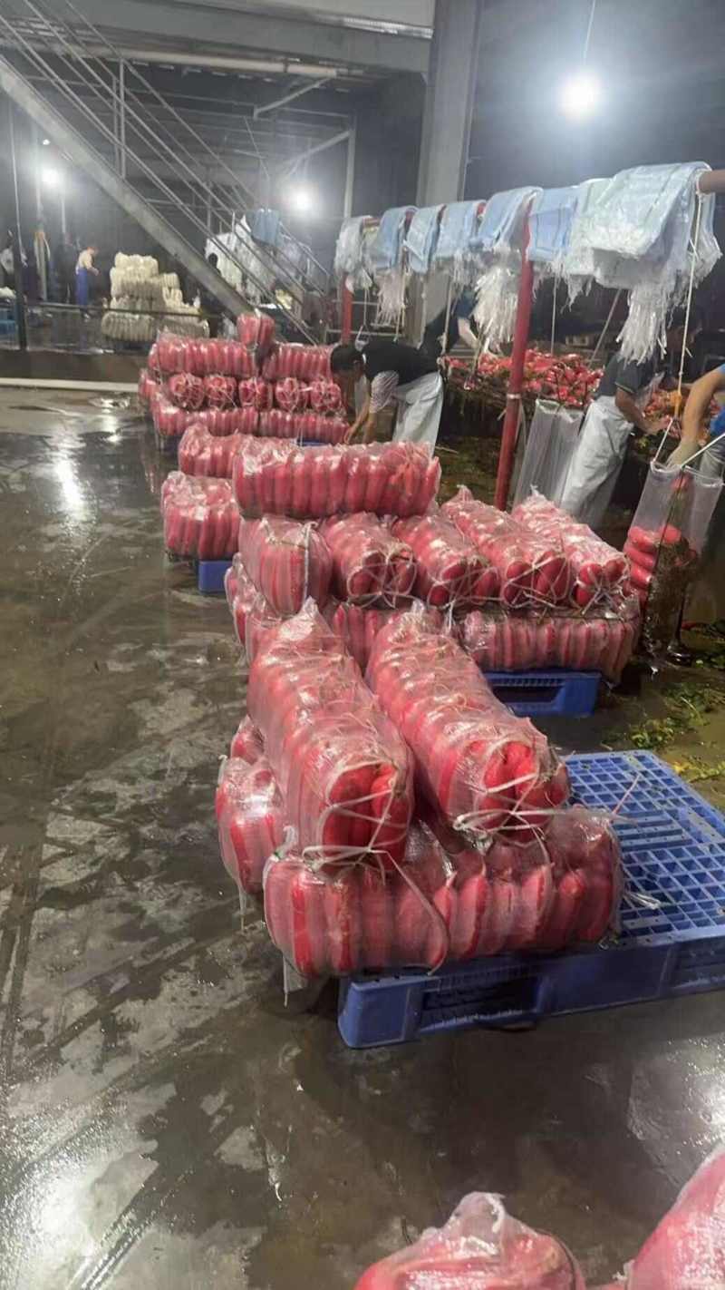 红萝卜当阳高山红皮萝卜一手货源产地直发水洗加工