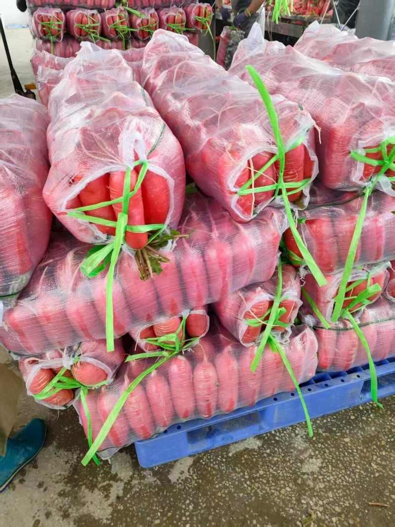 红萝卜当阳高山红皮萝卜一手货源产地直发水洗加工