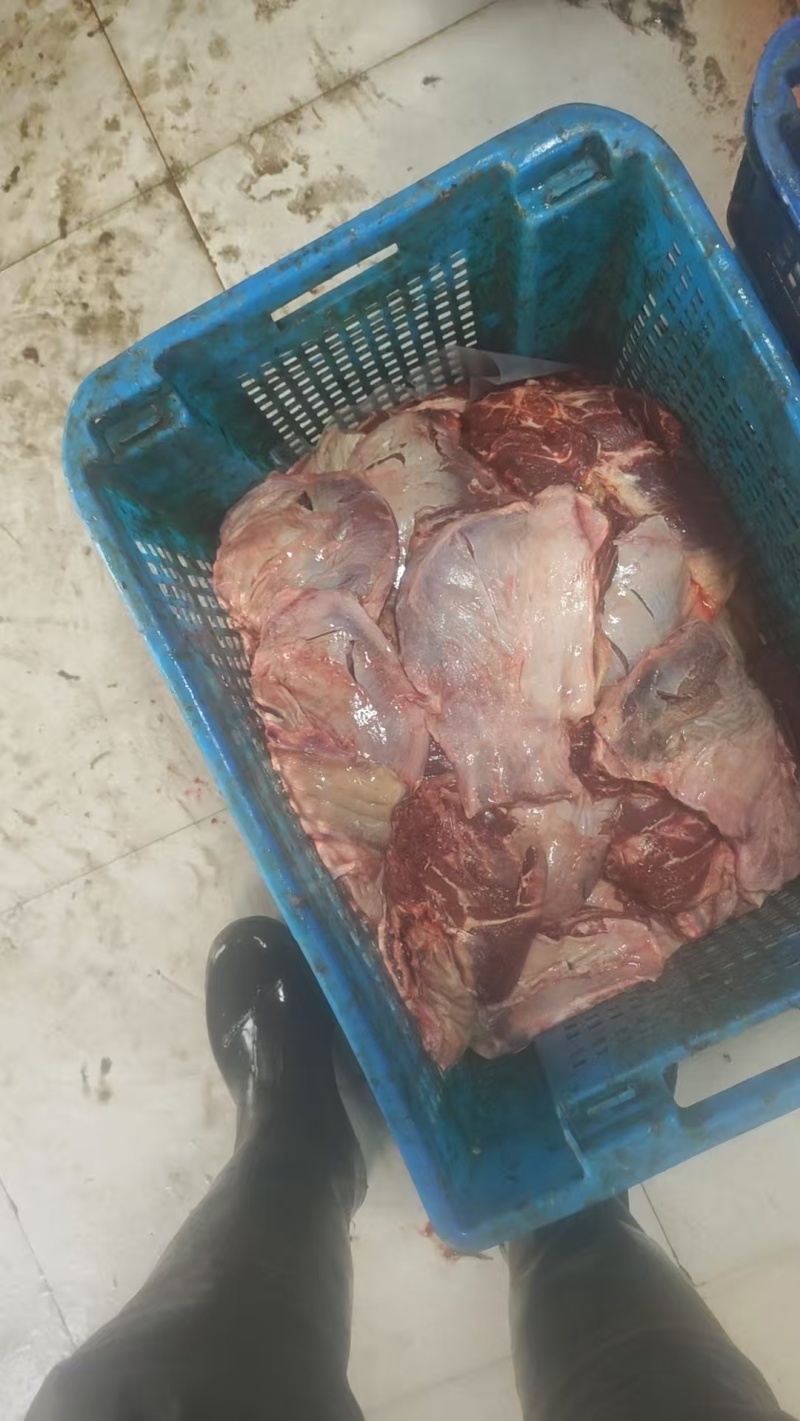 大马脸肉，干净精修，大大大大大大大块块