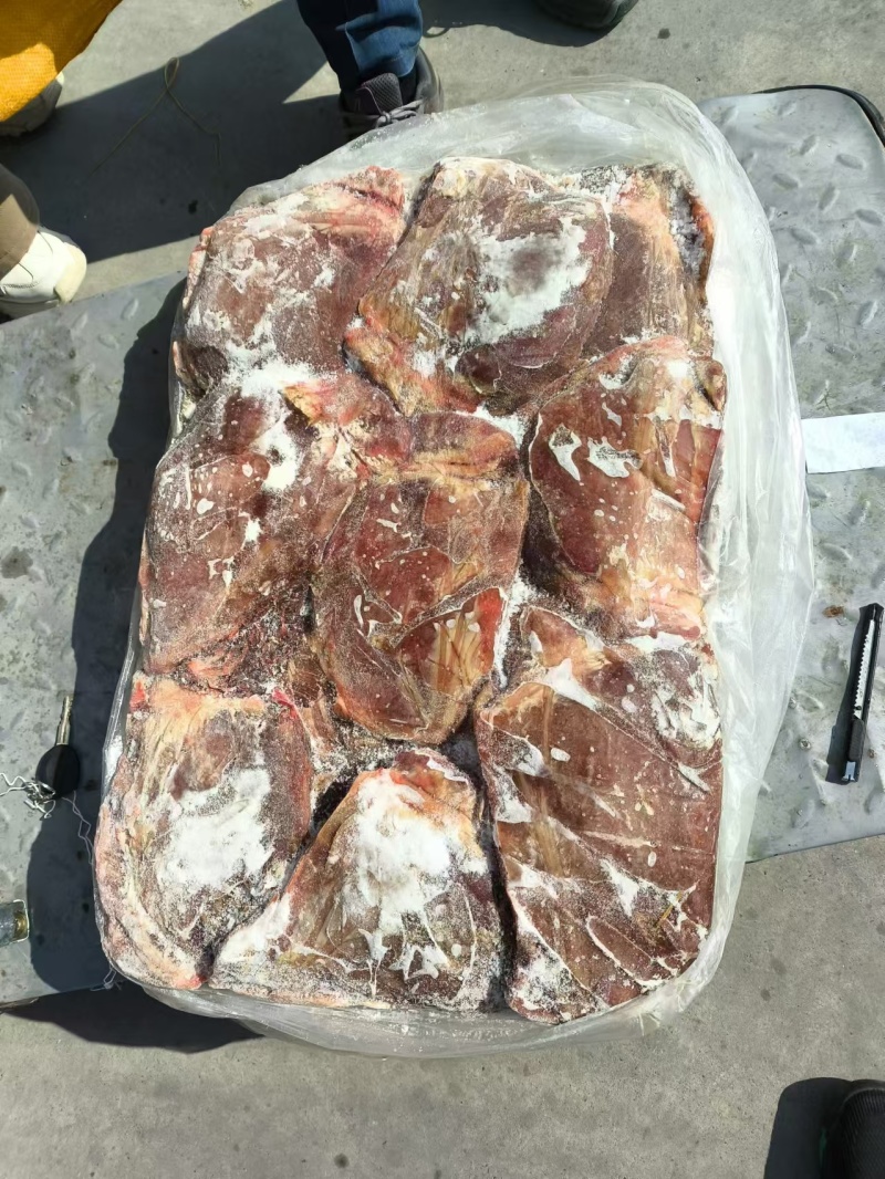 大马脸肉，干净精修，大大大大大大大块块