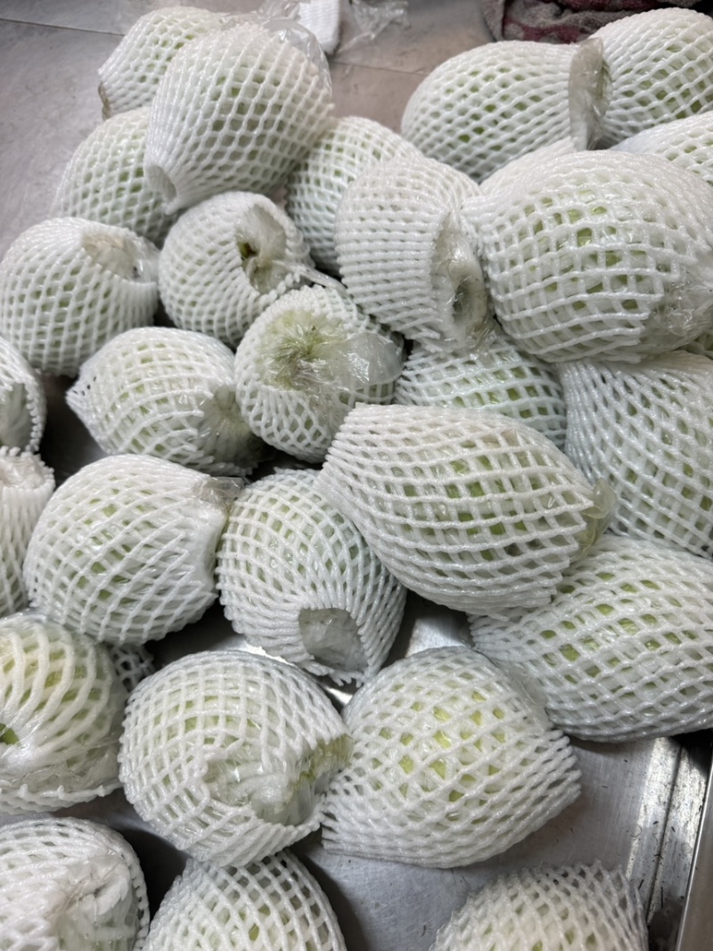 【商超茶饮电商专用】广东廉江珍珠番石榴白心芭乐水果批发