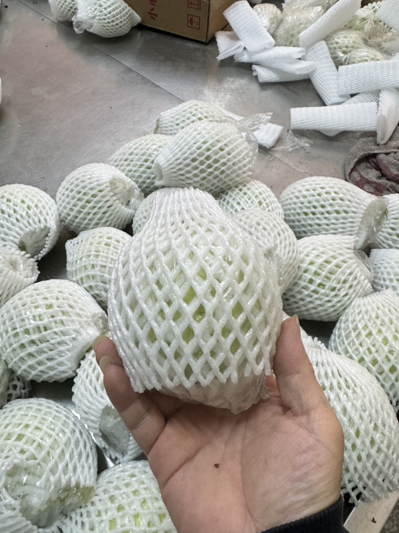 【商超茶饮电商专用】广东廉江珍珠番石榴白心芭乐水果批发
