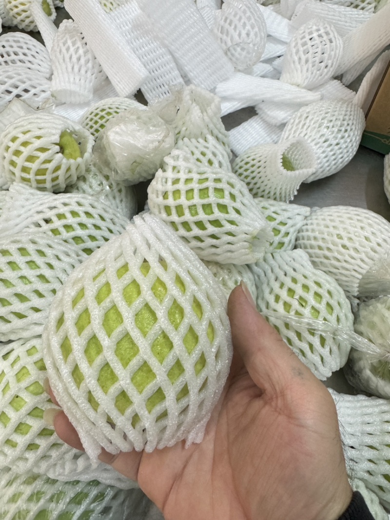 【商超茶饮电商专用】广东廉江珍珠番石榴白心芭乐水果批发