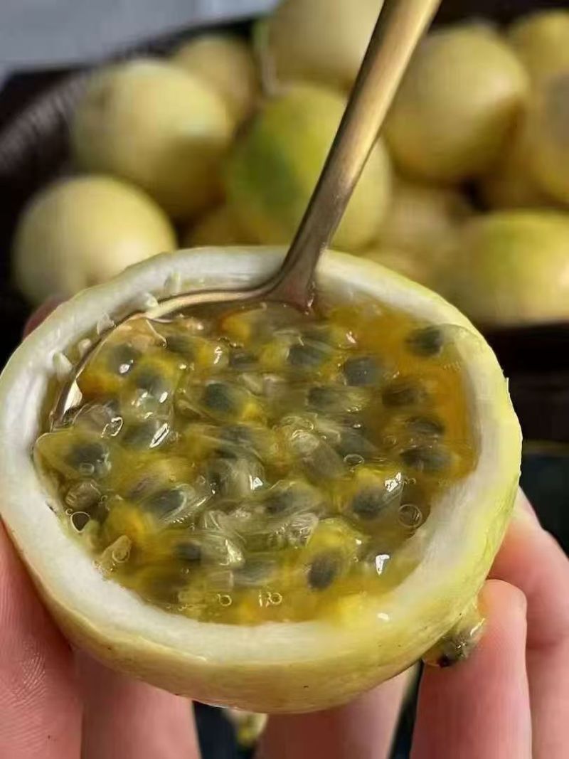 钦蜜9号百香果