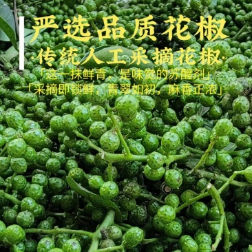 青花椒新鲜350g冷冻保鲜麻椒江津现摘真空青藤椒特产九叶
