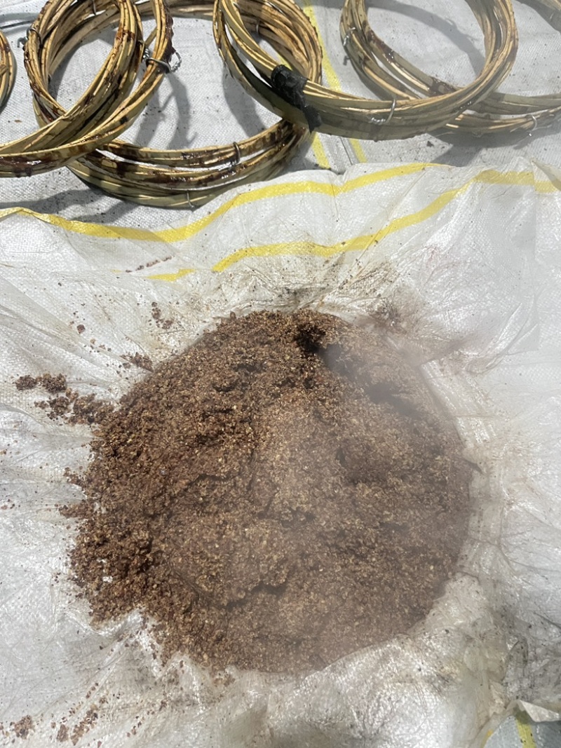 山茶油
