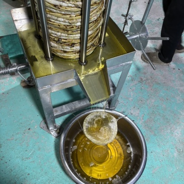 山茶油