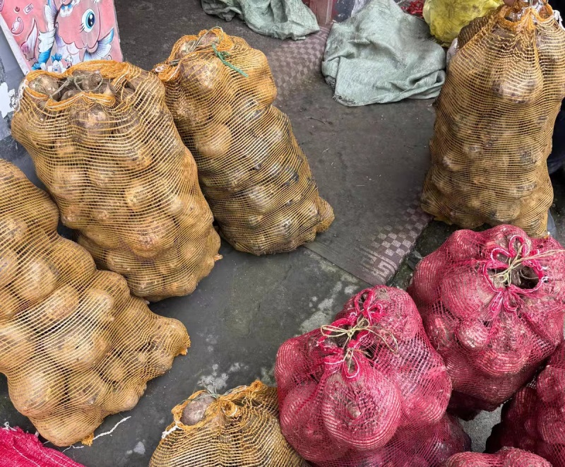 大量的花魔芋商品芋出售，价格4.8元一斤
