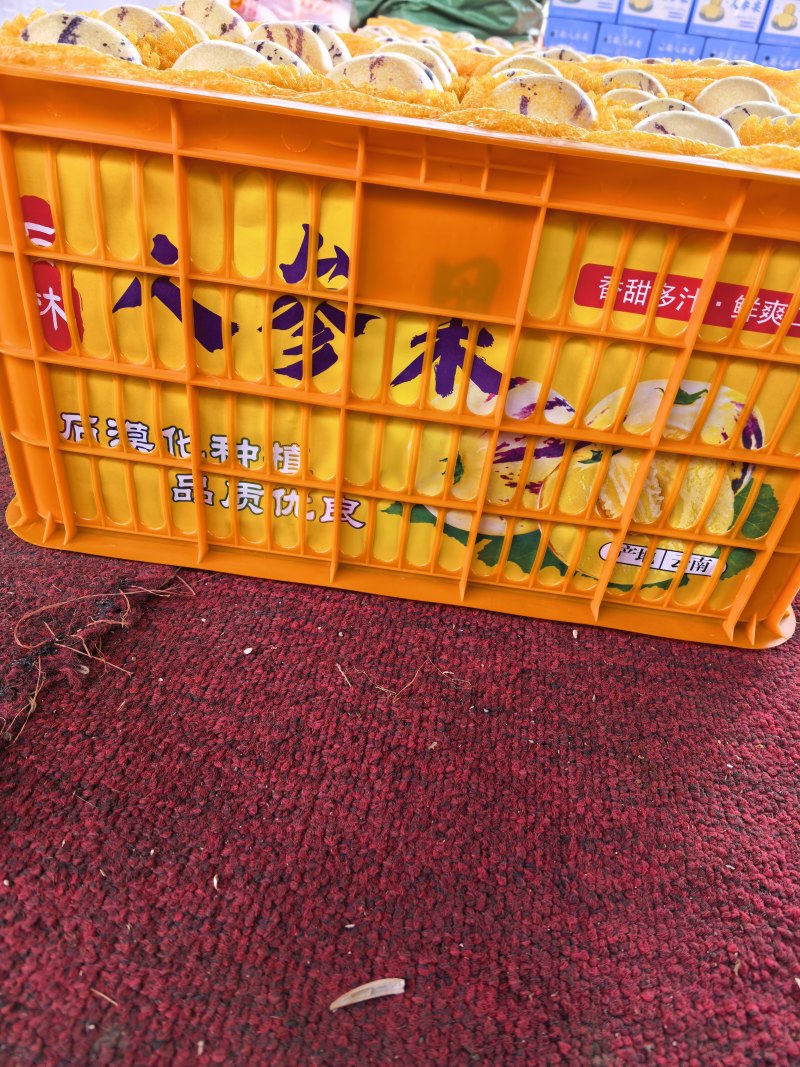 特果大果一手货源人参果上市产地直发价格优惠品质上乘
