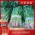 红根蒜苗长阳红根蒜苗一手货源代发全国