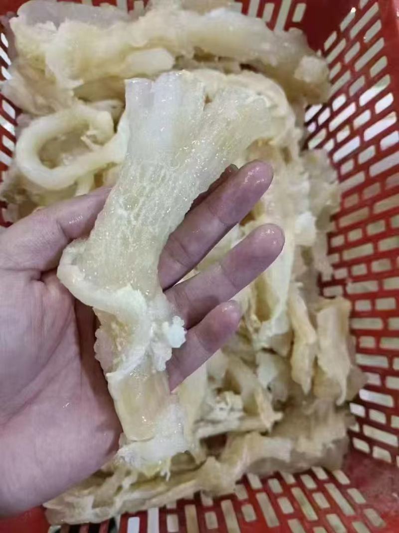 牛蹄筋