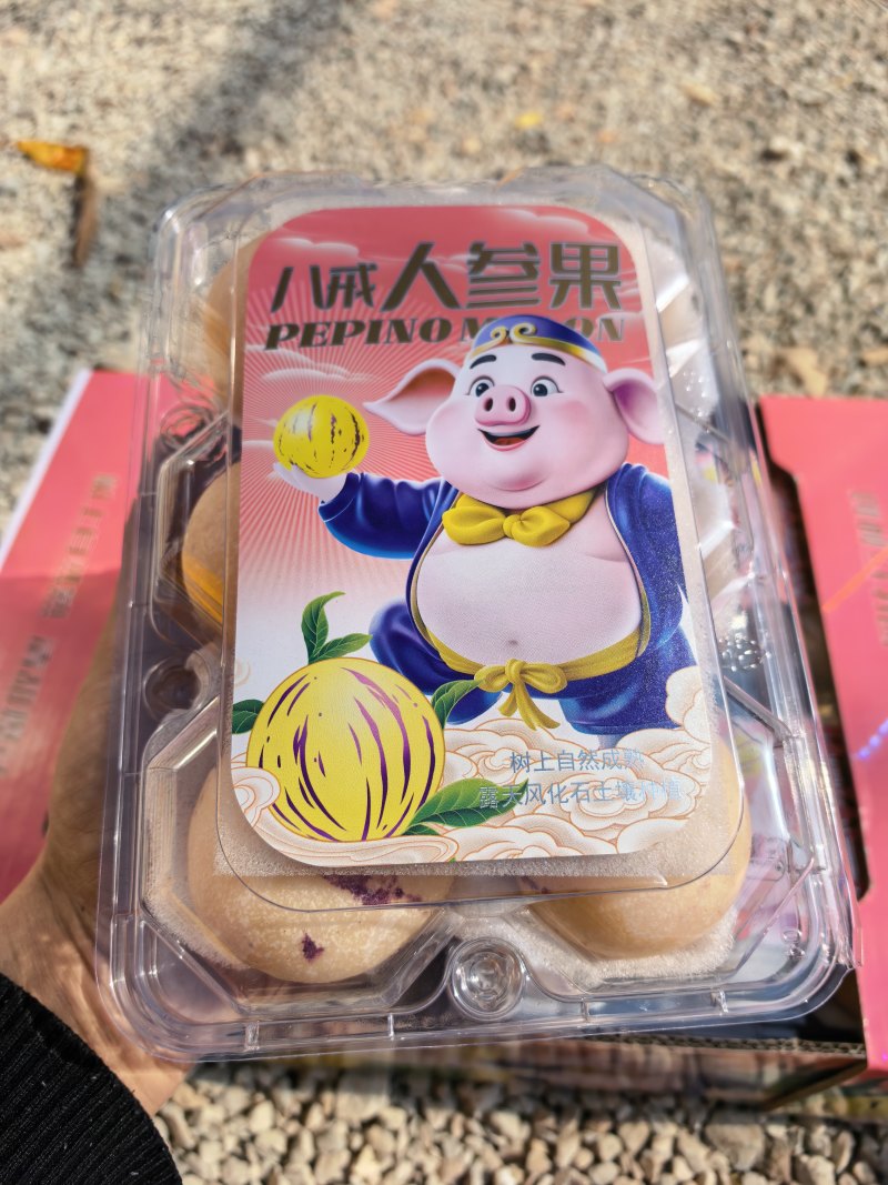 精品礼盒石林人参果大量供应对接市场商超电商团购
