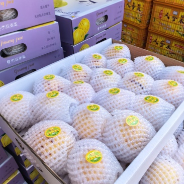 精品礼盒石林人参果大量供应对接市场商超电商团购