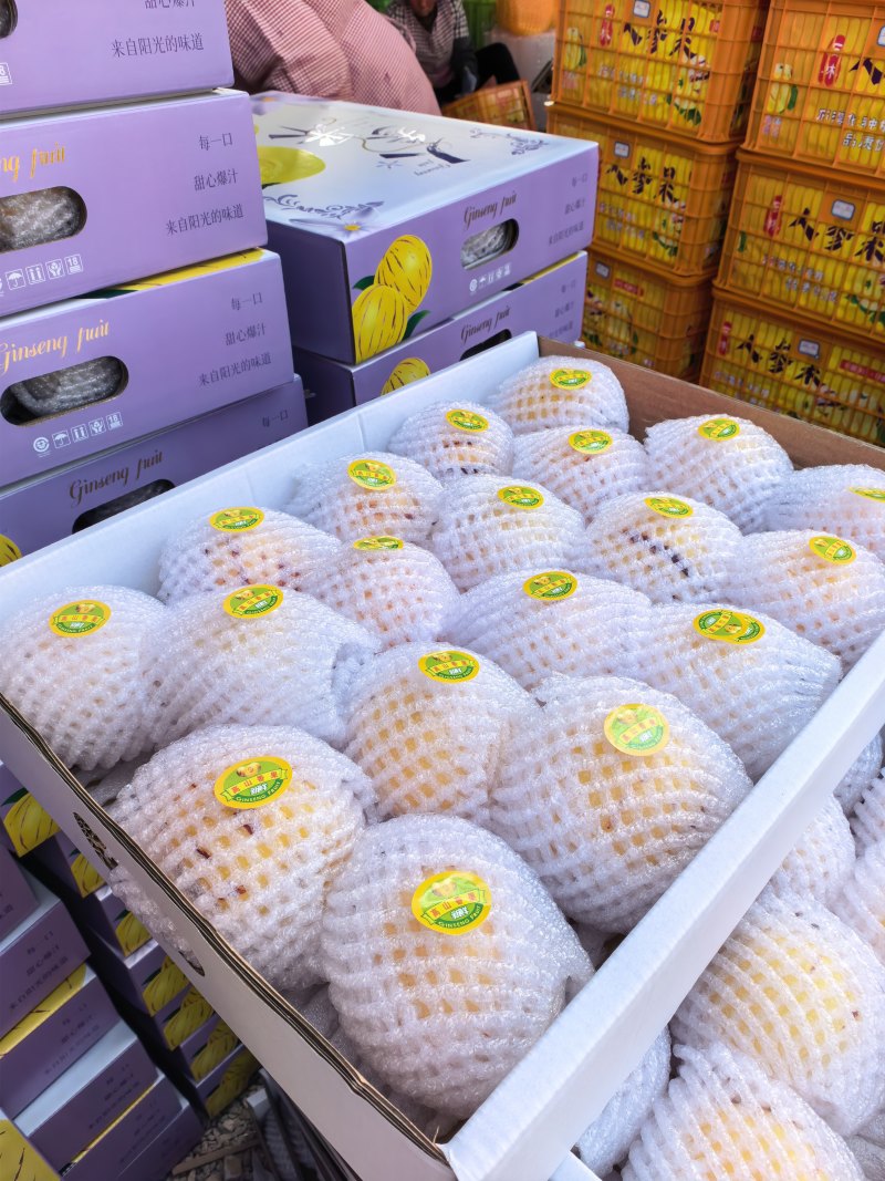 精品礼盒石林人参果大量供应对接市场商超电商团购