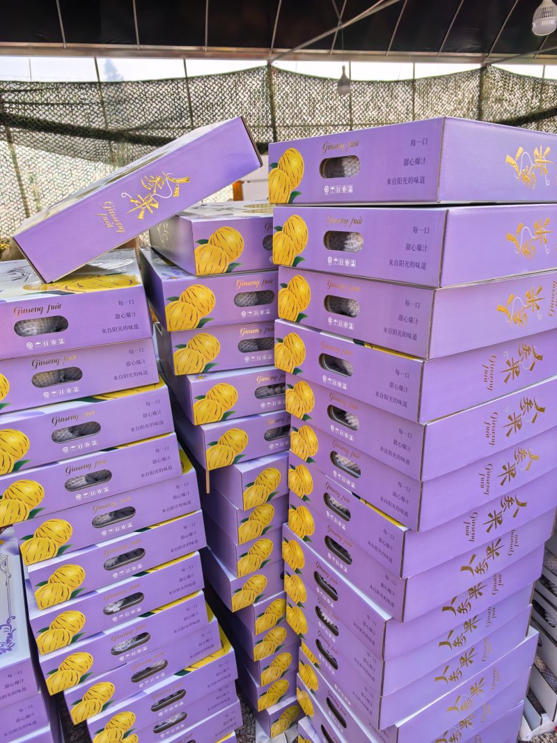 精品礼盒石林人参果大量供应对接市场商超电商团购