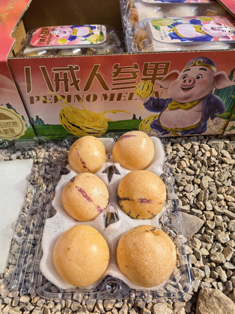 精品礼盒石林人参果大量供应对接市场商超电商团购