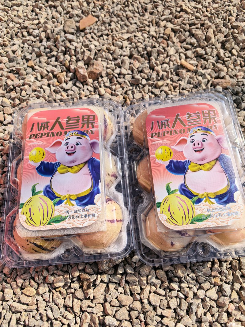 精品礼盒石林人参果大量供应对接市场商超电商团购