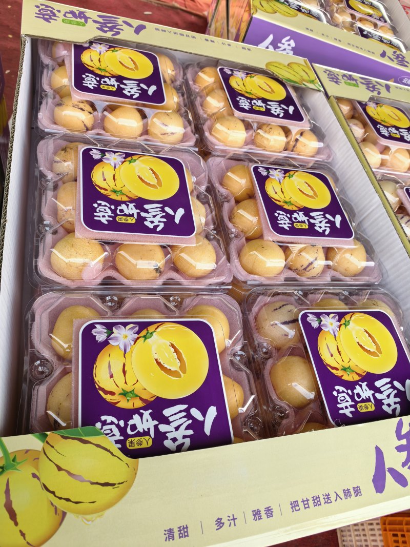 小果人参果泡沫箱小果对接全国新老客户欢迎下单品尝诚信