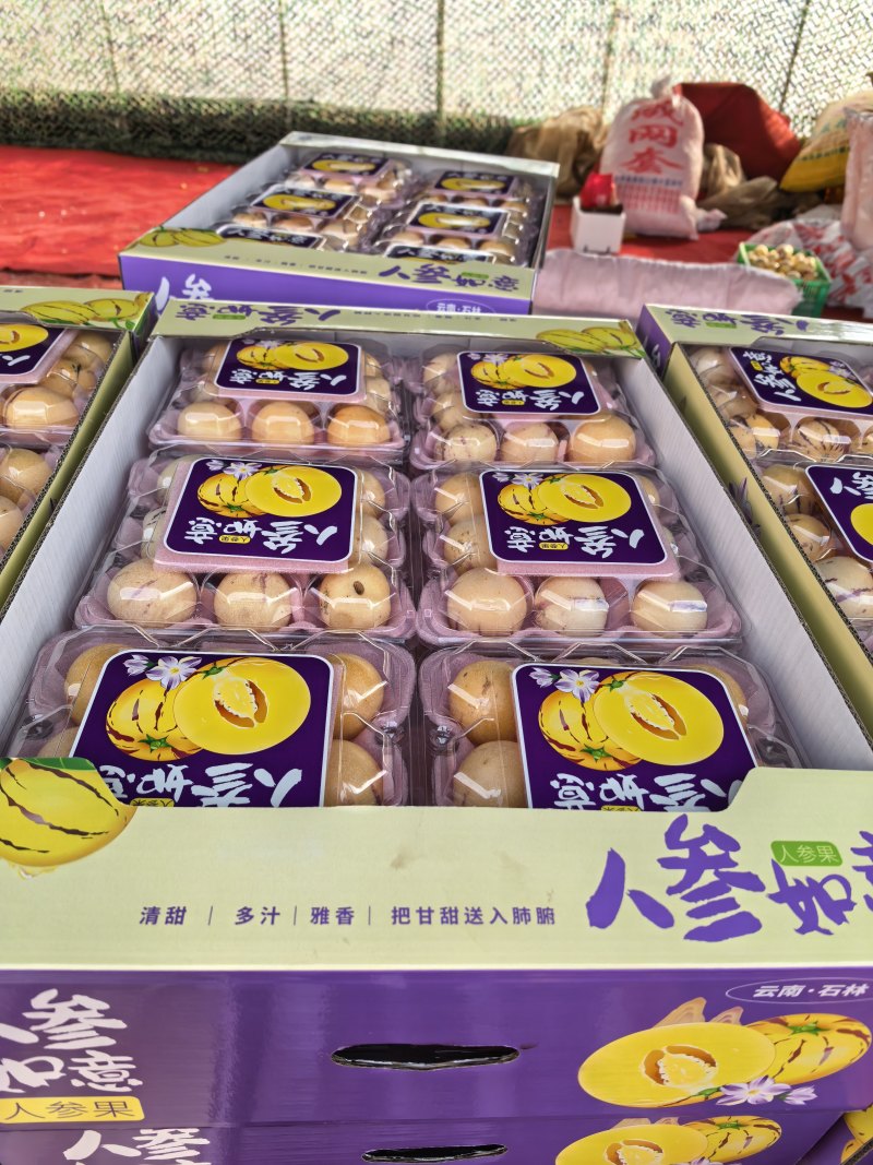 小果人参果泡沫箱小果对接全国新老客户欢迎下单品尝诚信