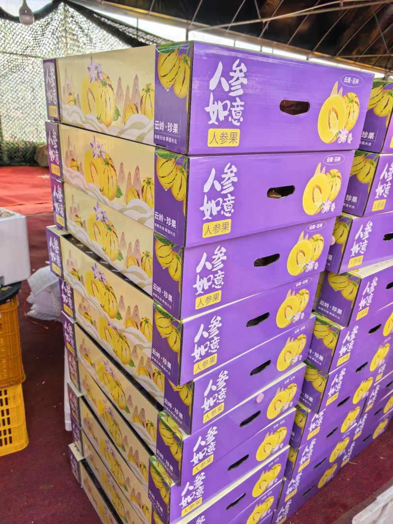 小果人参果泡沫箱小果对接全国新老客户欢迎下单品尝诚信