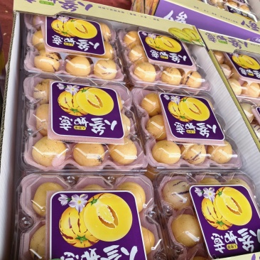 小果人参果泡沫箱小果对接全国新老客户欢迎下单品尝诚信