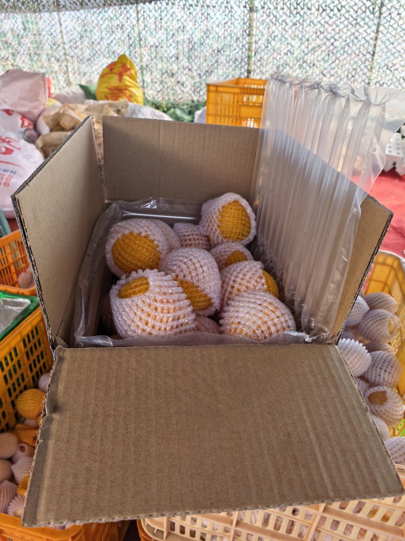 快递到家一件代发云南人参果大量供应产地直发价格优惠