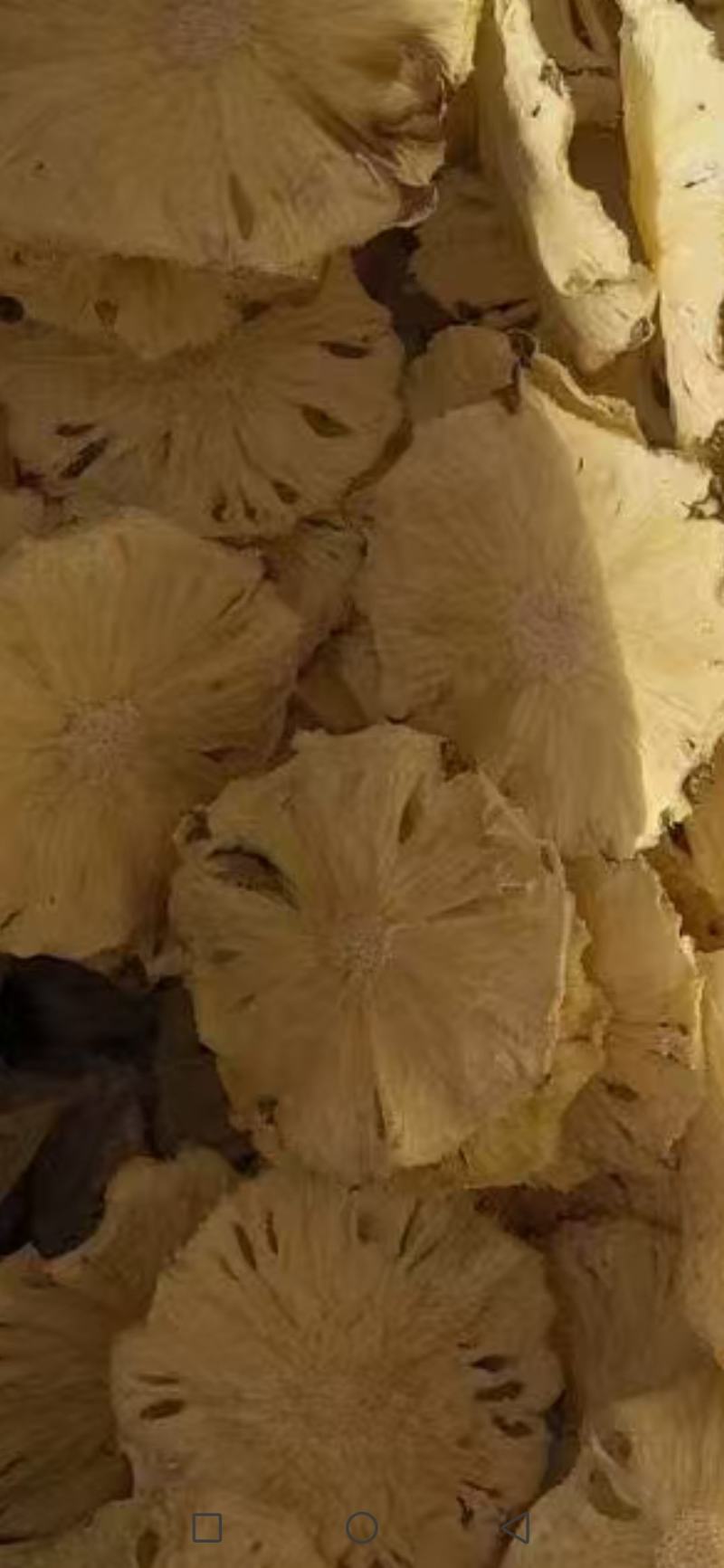 广西玉林市精品无任何添加烘干菠萝干货源充足欢迎订购。